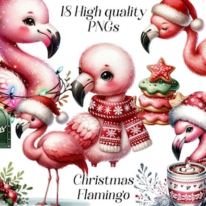 Clipart acquerello Natale Flamingo, 18 file PNG di alta qualità, grafica natalizia, uccelli esotici, Natale tropicale, stampabili, uccello rosa