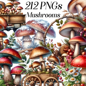 Aquarel paddestoelen clipart, 212 PNG-bestanden, paddenstoelillustraties, schimmels, bosplanten, natuur, illustratie, afdrukbare afbeeldingen, digitaal