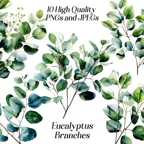 Watercolor eucalyptus clipart, 10 high quality JPEG and PNG files, Branches, greenery, card making, printable wall art, scrapbook