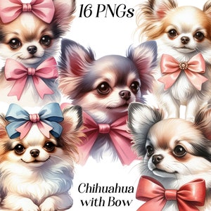 Acuarela Chihuahua con imágenes prediseñadas de arco, 16 archivos PNG, clip art para perros, perro de juguete, imágenes de cachorros, lindo animal esponjoso, retrato de perro, ilustración