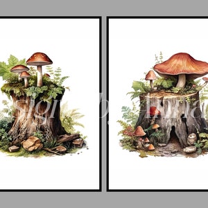 May include: Two watercolor illustrations of mushrooms growing on tree stumps. The first image shows a cluster of red and white mushrooms on a stump with green moss and ferns. The second image shows a larger red mushroom with smaller mushrooms growing around it on a stump with green ferns and moss.