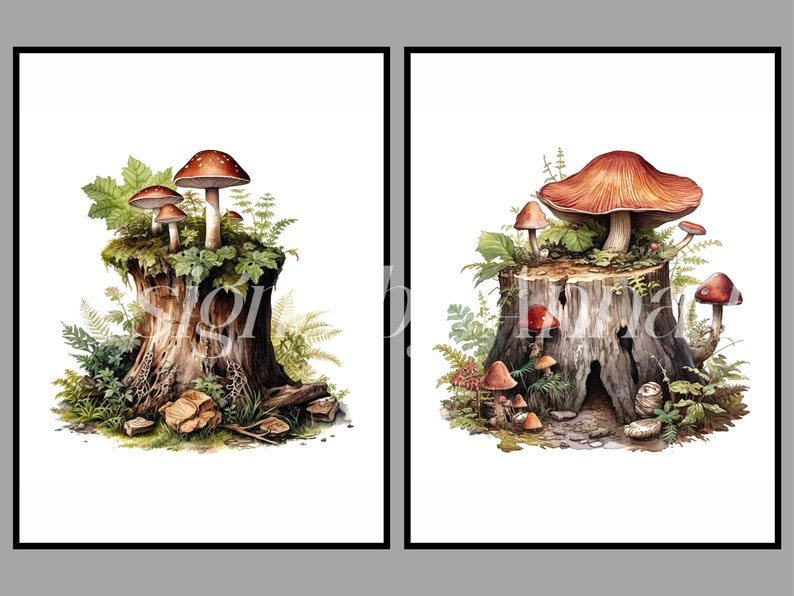 May include: Two watercolor illustrations of mushrooms growing on tree stumps. The first image shows a cluster of red and white mushrooms on a stump with green moss and ferns. The second image shows a larger red mushroom with smaller mushrooms growing around it on a stump with green ferns and moss.