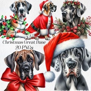 Christmas Great Dane clipart, watercolor great dane clip art, png, festive dog breeds, winter holidays, printable images, digital download