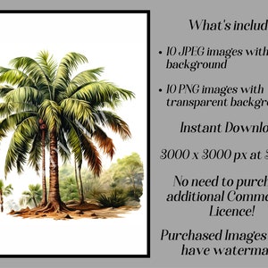 May include: A digital illustration of three palm trees with green leaves and brown trunks. The trees are set against a white background. The image is 3000 x 3000 pixels at 300 DPI.