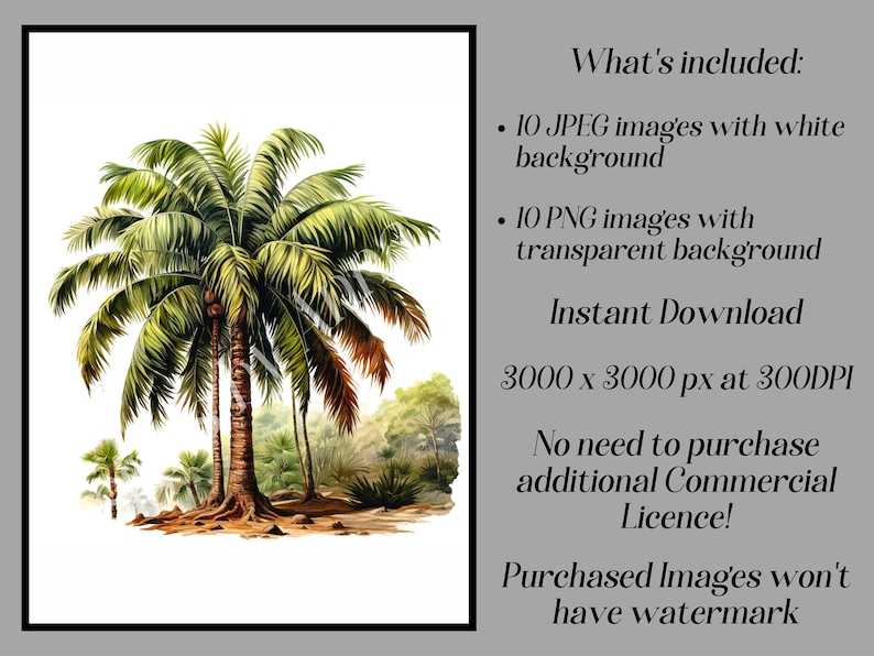 May include: A digital illustration of three palm trees with green leaves and brown trunks. The trees are set against a white background. The image is 3000 x 3000 pixels at 300 DPI.