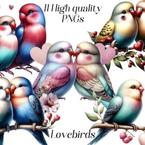 Lovebirds Clipart, Clip Art Aquarell Valentinstag Vögel, png,niedliche Papageien, Paar, Liebe, Pastell Vögel, druckbare, digitale Illustration