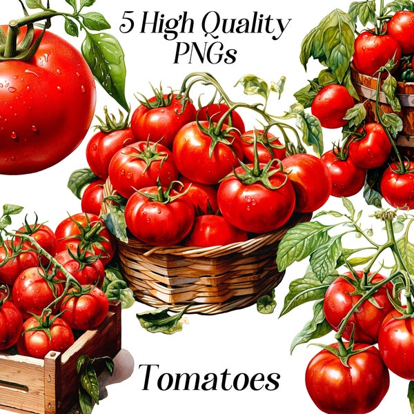 Clipart de tomates aquarelle, 5 fichiers PNG de haute qualité, clipart de légumes, clipart d'été, jardin, cuisine, graphiques imprimables