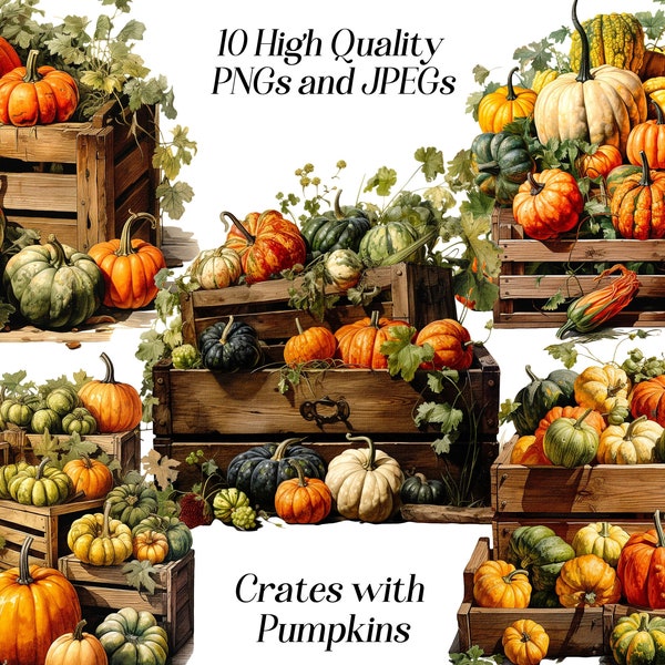 Watercolor crates with pumpkins clipart, 10 high quality JPEG and PNG files, autumn, harvest, food clip art, market stall, rustic clipart