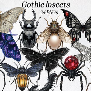 May include: A collection of digitally illustrated gothic insects, including moths, beetles, spiders, and a dragonfly. The insects are in various colors, including black, blue, gold, and red, with intricate details and patterns. The text "Gothic Insects 34 PNGs" is at the top.