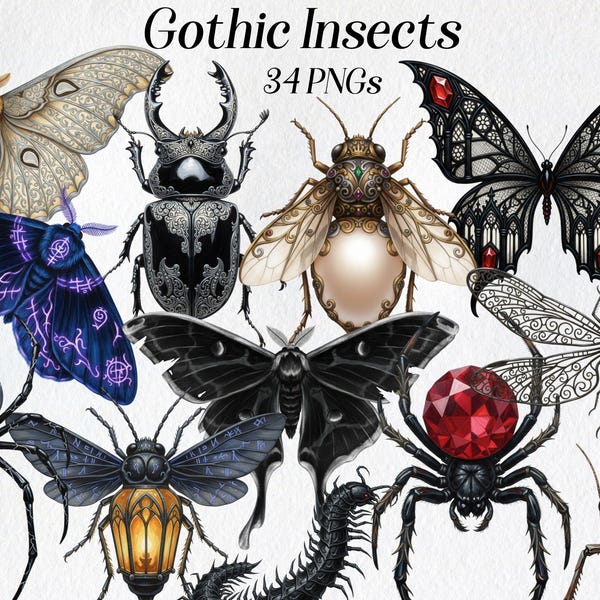 Gothic Insects Clipart Set, Dark Fantasy Moths Beetles Spiders Illustrations