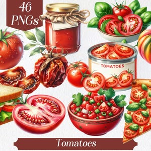 May include: A collection of 46 digital illustrations of tomatoes in various forms, including whole tomatoes, sliced tomatoes, tomato sauce, sun-dried tomatoes, and a tomato pizza. The illustrations are in a realistic style and feature vibrant red, green, and yellow colors.