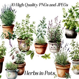 Aquarel kruiden clipart, 10 hoge kwaliteit jpeg- en png-bestanden, kruidenclipart, potplanten, keukeninrichting, cottagecore, afdrukbare afbeeldingen