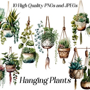 Imágenes prediseñadas de plantas colgantes, ilustración de decoración botánica del hogar, vegetación de interior, plantas de interior, macetas de macramé, plantas de acuarela, descarga digital