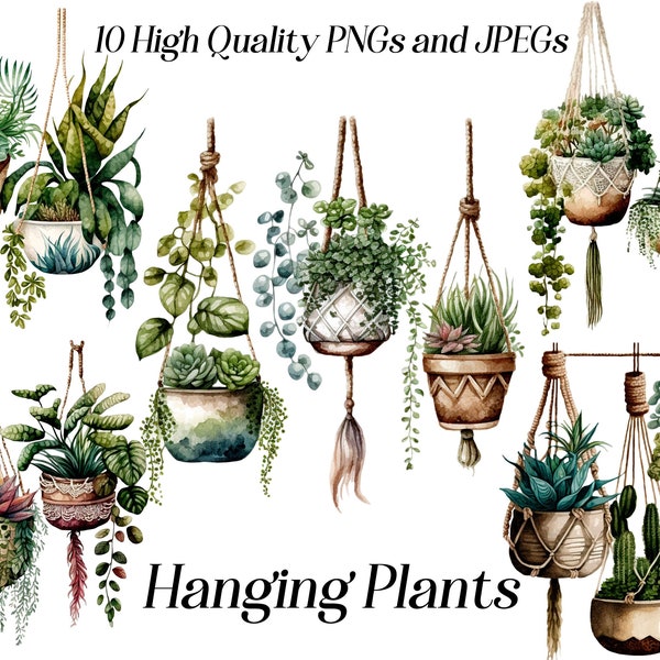 Watercolor plants clipart, 10 high quality JPEG and PNG files, hanging plants, greenery clipart, potted plants, printable graphics