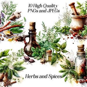 Watercolor Herbs & Spices Clipart: Rustic Kitchen Graphics (JPEG, PNG)