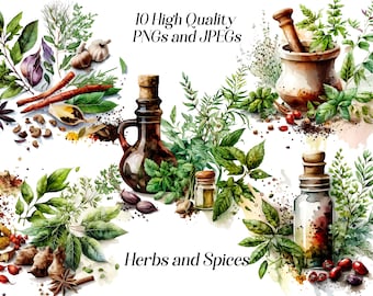 Ensemble de cliparts d’herbes et d’épices à l’aquarelle, 10 fichiers JPEG et PNG de haute qualité, clipart de cuisine, cottagecore rustique, graphiques imprimables