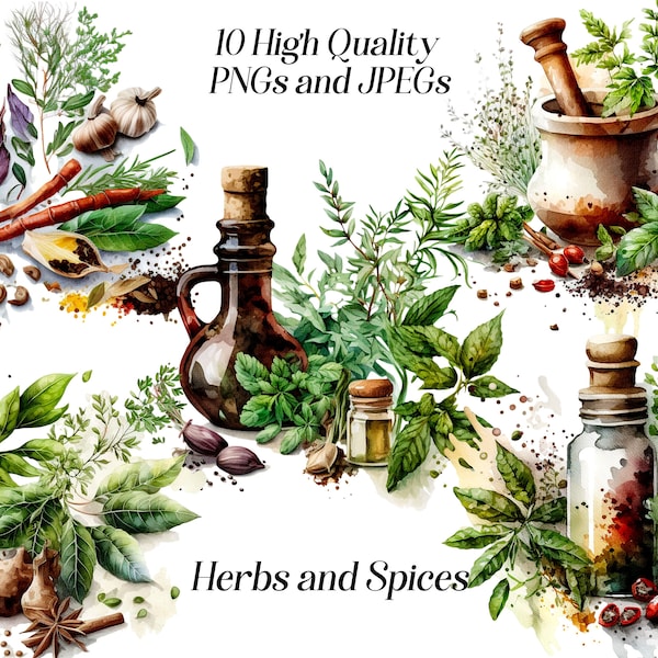 Watercolor herbs and spices clipart set, 10 high quality JPEG and PNG files, kitchen clipart, rustic cottagecore, printable graphics