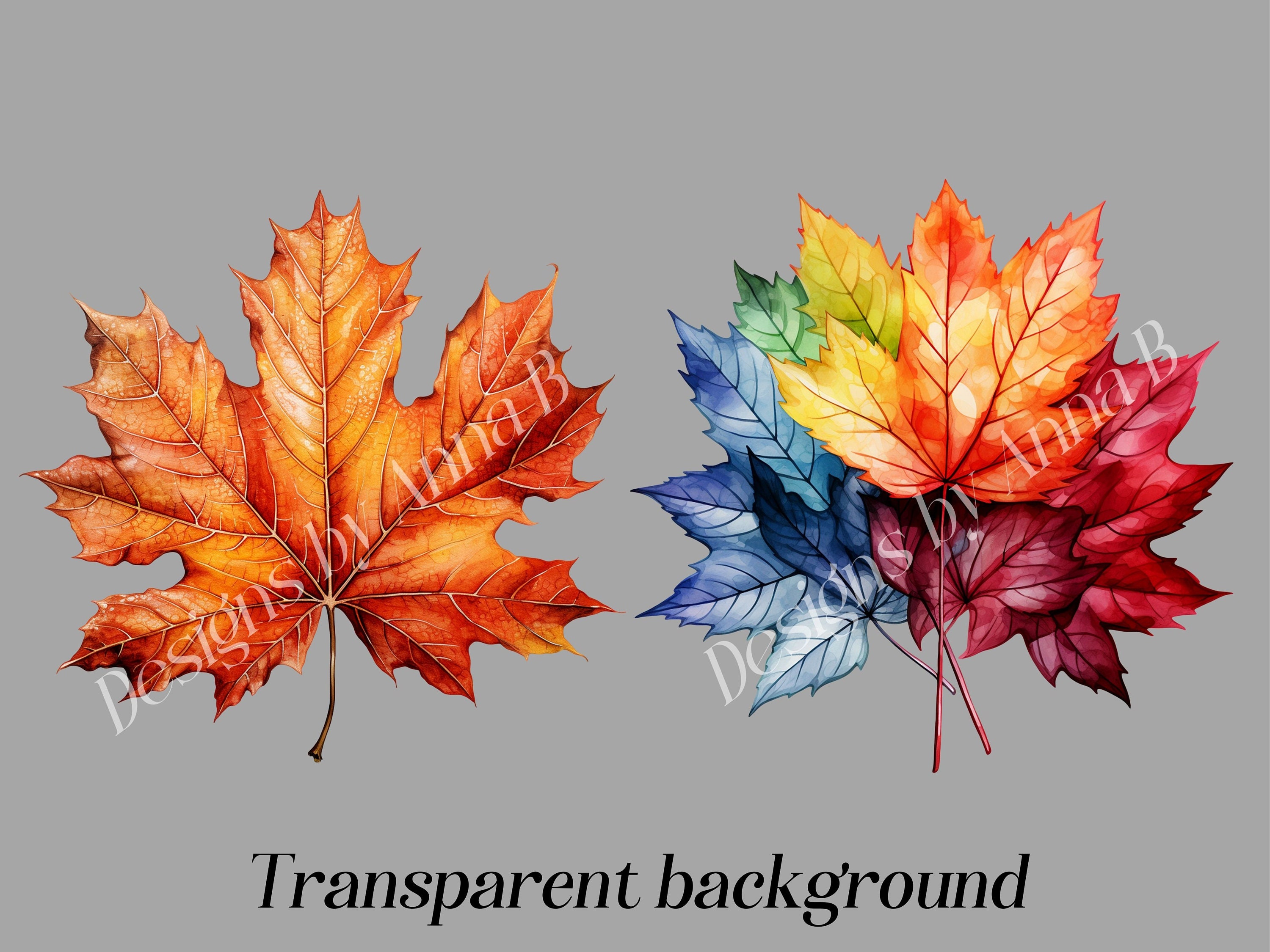 Autumn Leaves Clipart: Rustic Fall Foliage PNG (digital Download) - Etsy