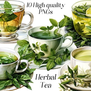 Imágenes prediseñadas de té de hierbas de acuarela, 10 archivos PNG de alta calidad, imágenes prediseñadas de té saludable, gráficos de bienestar, medicina herbaria, gráficos imprimibles