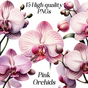 Orquídeas cor de rosa aquarela clipart, flores, casamento, buquê, png, ilustração floral, exótico, tropical, para impressão, download digital