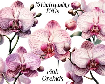 Watercolor Pink Orchids clipart, 15 high quality PNG files, exotic flower, florals, botanical illustration, pastel pink flower, printables