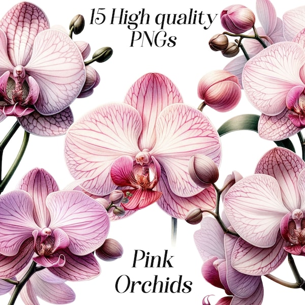 Watercolor Pink Orchids clipart, 15 high quality PNG files, exotic flower, florals, botanical illustration, pastel pink flower, printables