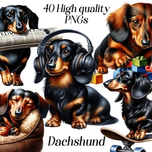 Watercolor Dachshund clipart, 40 high quality PNG files, dog clipart, puppy clipart, pet portrait, dog lover, animal images, printables