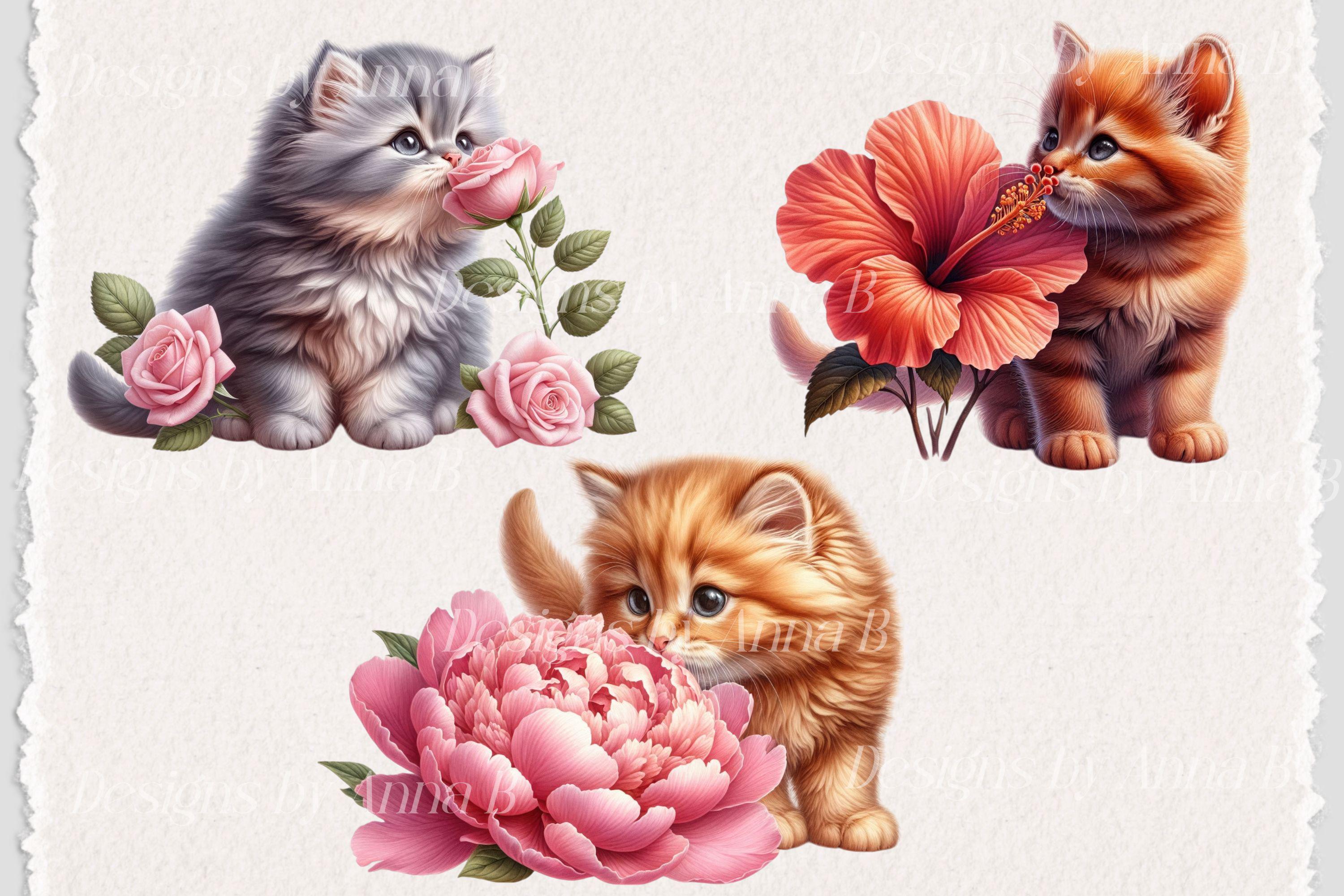 Watercolor Kitten Clipart: Floral Cat PNG Images (digital Download) - Etsy