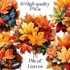 Aquarel herfstbladeren clipart, 10 hoge kwaliteit png-bestanden, herfstafbeeldingen, stapel bladeren, herfstbladillustratie, printables