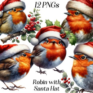 Aquarela Robin com clipart de chapéu de Papai Noel, 12 arquivos PNG, gráficos de Natal, pássaro fofo, ilustração de inverno, animais de natal, imagens para impressão