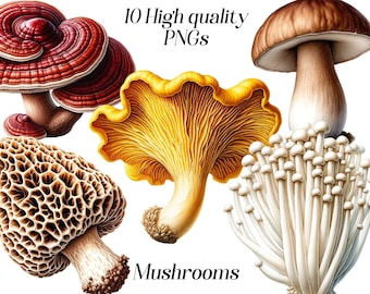 Clipart aquarel paddestoel: bospaddestoelen png-afbeeldingen (10 bestanden)