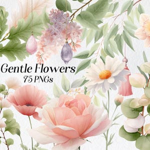 Zachte bloemen clipart, botanische bundel, png, bloemenset, aquarelbloemen, afdrukbare afbeeldingen, bruiloftbloemen, blozen, commercieel gebruik