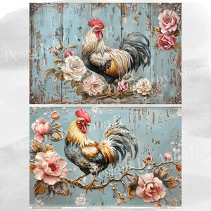 Rooster Shabby Chic Digital Paper, 16 High Quality JPEG Files, Chicken ...