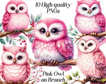 Aquarell rosa Eule Clipart: 10 PNG Illustrationen (digitaler Download)
