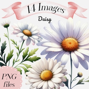 Aquarell Gänseblümchen, Clipart, 14 PNG-Dateien, Blumen Clipart, Wildblumen, Gänseblümchen mit Stiel, florale Clip Art, botanische, Sommer Blume, Illustration
