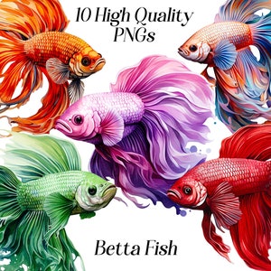 ベタ魚のクリップアート、魚のクリップアート、水族館の魚、水中、カラフルな魚、海洋生物、海洋、エキゾチックな魚、イラスト、水彩画