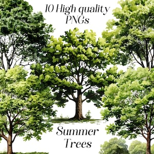 Clipart di alberi estivi dell'acquerello, 10 file PNG di alta qualità, clipart naturalistiche, clipart boschi, grafica stampabile