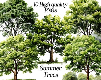 Watercolor Summer Trees Clipart: 10 PNG Nature Graphics (Digital Download)