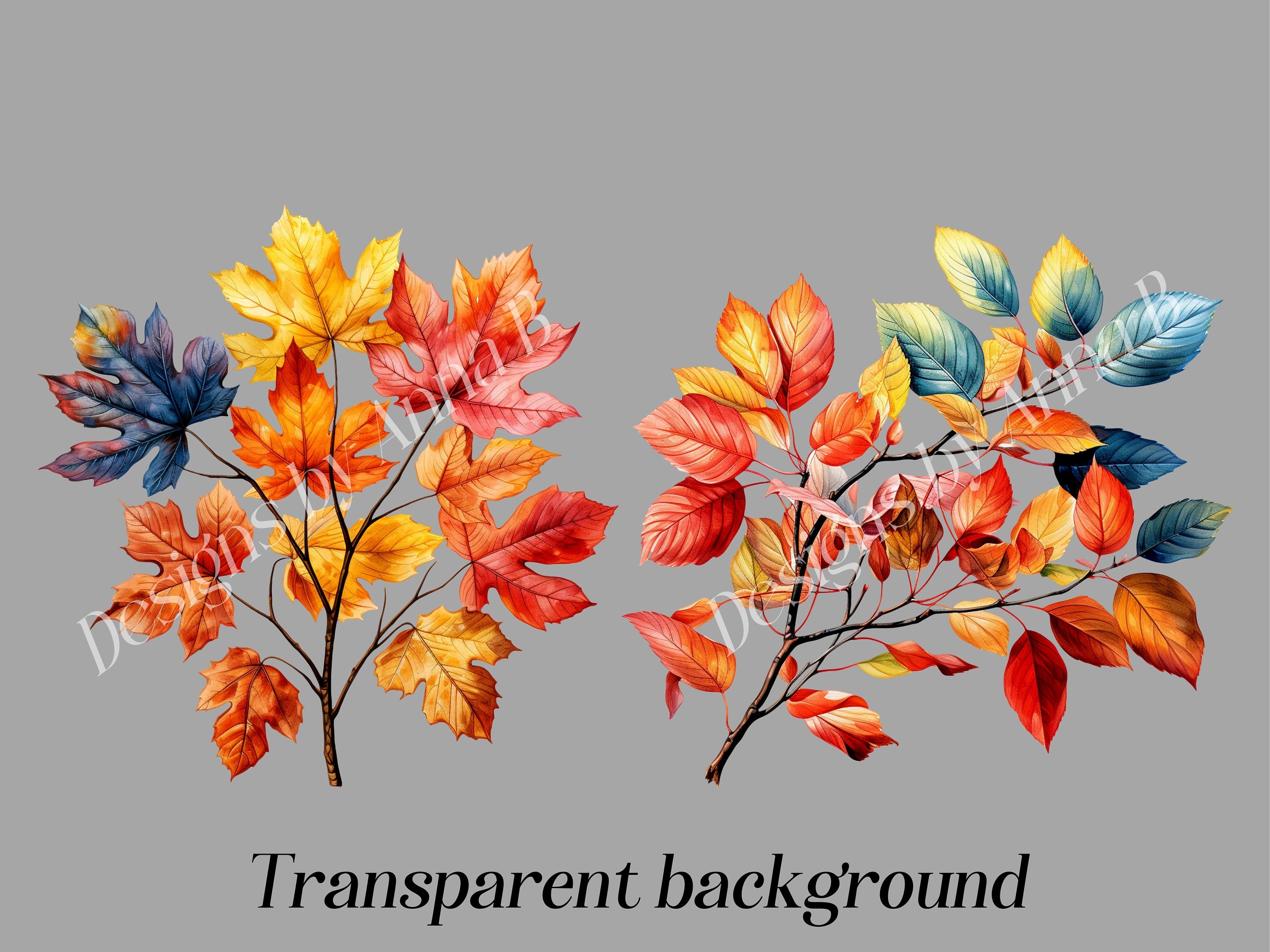 Autumn Leaves Clipart: Rustic Fall Foliage PNG (digital Download) - Etsy