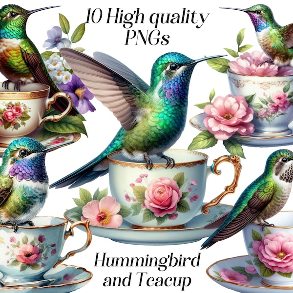 Watercolor Hummingbird and teacup clipart, 10 high quality PNG files, exotic bird, tropical bird, vintage tea cup, printable graphics