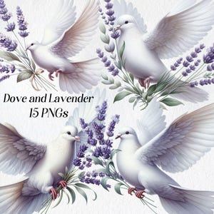 Dove clipart, watercolor dove clip art, png, white dove illustration, dove and lavender, floral dove, dove with flowers, bird graphics