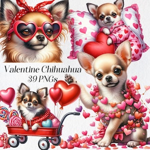 Clipart Saint-Valentin Chihuahua, clipart chien aquarelle, png, chiot, amour, coeurs, chien mignon, races de chiens, romantique, graphiques numériques, imprimable