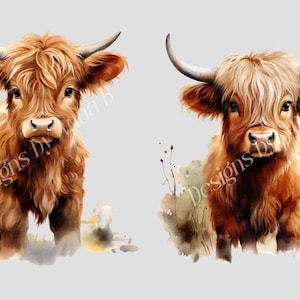 May include: Two watercolor paintings of Highland cattle. The cattle are brown and white with long, shaggy fur. They are looking directly at the viewer. The paintings are set against a light gray background.