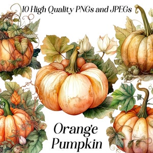 Puede incluir: Diez imágenes digitales de alta calidad de calabazas naranjas con hojas y enredaderas verdes. Las calabazas están pintadas en estilo acuarela y tienen un aspecto realista. El texto "Orange Pumpkin" está escrito en negro en la parte inferior de la imagen.