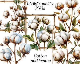 Puede incluir: Doce imágenes PNG de alta calidad de flores de algodón y un marco de bambú. El algodón es blanco y esponjoso, con tallos marrones y hojas verdes. El marco está hecho de bambú natural.