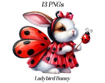 Watercolor Ladybird Bunny clipart, 13 PNG files, cute bunny, bunny wearing costume, lady bug, lady bird, cute animals, nursery