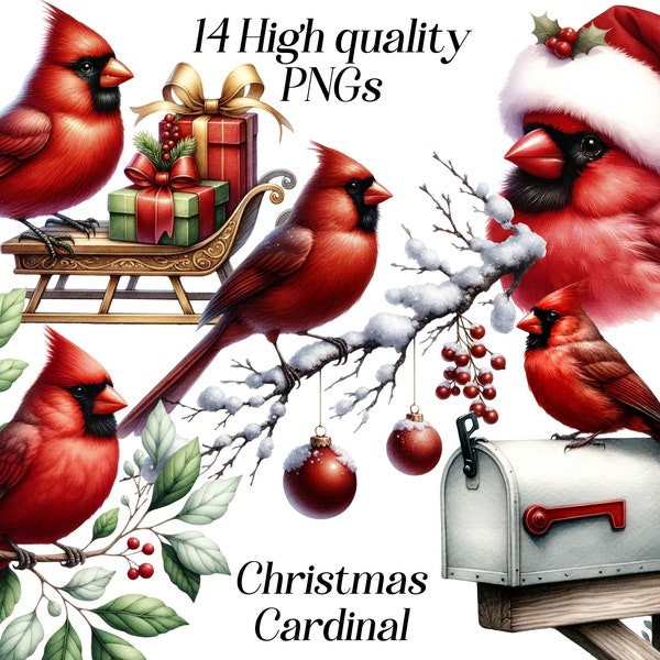 Watercolor Christmas Cardinal clipart, 14 high quality PNG files, red cardinal clip art, bird, christmas graphics, winter holidays, festive