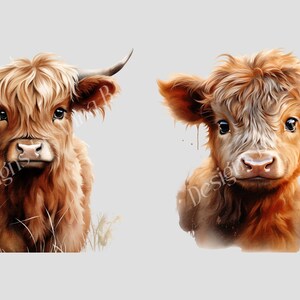 May include: Two Highland cattle, one adult and one calf, are looking directly at the camera. The adult has long, shaggy brown fur and horns. The calf has shorter, fluffier fur and is a lighter shade of brown. Both have a sweet expression on their faces.