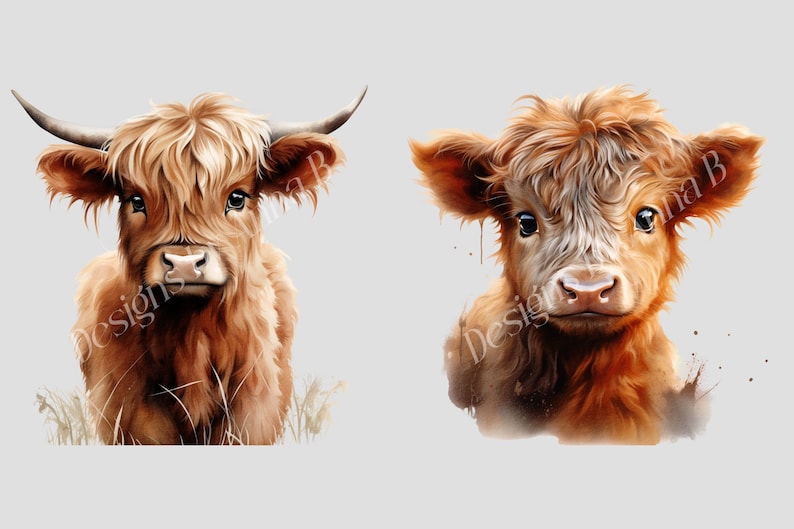 May include: Two Highland cattle, one adult and one calf, are looking directly at the camera. The adult has long, shaggy brown fur and horns. The calf has shorter, fluffier fur and is a lighter shade of brown. Both have a sweet expression on their faces.