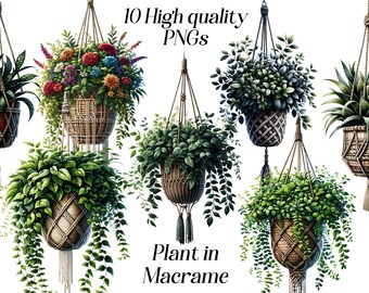 Planta de acuarela en imágenes prediseñadas de macramé, 10 archivos PNG de alta calidad, planta en maceta, clip art de vegetación, decoración botánica, ilustración imprimible